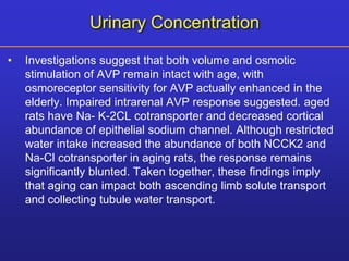 Urinary Concentration 
• Investigations suggest that both volume and osmotic 
stimulation of AVP remain intact with age, with 
osmoreceptor sensitivity for AVP actually enhanced in the 
elderly. Impaired intrarenal AVP response suggested. aged 
rats have Na- K-2CL cotransporter and decreased cortical 
abundance of epithelial sodium channel. Although restricted 
water intake increased the abundance of both NCCK2 and 
Na-Cl cotransporter in aging rats, the response remains 
significantly blunted. Taken together, these findings imply 
that aging can impact both ascending limb solute transport 
and collecting tubule water transport. 
 