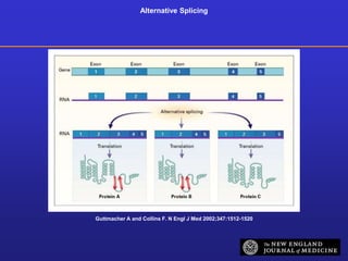 Alternative Splicing 
Guttmacher A and Collins F. N Engl J Med 2002;347:1512-1520 
 