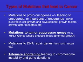 Types of Mutations that lead to Cancer 
• Mutations to proto-oncogenes --> leading to 
oncogenes, or insertions of oncogenes (genes 
involved in cell growth and development; growth factors, 
growth factor receptors etc) 
• Mutations to tumor suppressor genes (e.g. 
Trp53; Genes whose products block abnormal growth) 
• Mutations to DNA repair genes (mismatch repair 
etc) 
• Telomere shortening leading to chromosome 
instability and gene deletions 
 