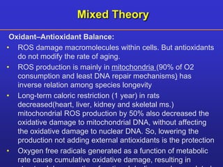 Mixed Theory 
Oxidant–Antioxidant Balance: 
• ROS damage macromolecules within cells. But antioxidants 
do not modify the rate of aging. 
• ROS production is mainly in mitochondria (90% of O2 
consumption and least DNA repair mechanisms) has 
inverse relation among species longevity 
• Long-term caloric restriction (1 year) in rats 
decreased(heart, liver, kidney and skeletal ms.) 
mitochondrial ROS production by 50% also decreased the 
oxidative damage to mitochondrial DNA, without affecting 
the oxidative damage to nuclear DNA. So, lowering the 
production not adding external antioxidants is the protection 
• Oxygen free radicals generated as a function of metabolic 
rate cause cumulative oxidative damage, resulting in 
structural degeneration, functional decline, and age-related 
 