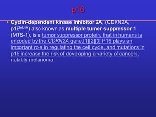 p16 
• Cyclin-dependent kinase inhibitor 2A, (CDKN2A, 
p16Ink4A) also known as multiple tumor suppressor 1 
(MTS-1), is a tumor suppressor protein, that in humans is 
encoded by the CDKN2A gene.[1][2][3] P16 plays an 
important role in regulating the cell cycle, and mutations in 
p16 increase the risk of developing a variety of cancers, 
notably melanoma. 
 
