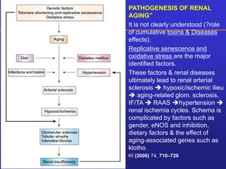 PATHOGENESIS OF RENAL 
AGING” 
It is not clearly understood (?role 
of cumulative toxins & Diseases 
effects). 
Replicative senescence and 
oxidative stress are the major 
identified factors. 
These factors & renal diseases 
ultimately lead to renal arterial 
sclerosis  hypoxic/ischemic ilieu 
 aging-related glom. sclerosis, 
IF/TA  RAAS hypertension  
renal ischemia cycles. Schema is 
complicated by factors such as 
gender, eNOS and inhibition, 
dietary factors & the effect of 
aging-associated genes such as 
klotho. 
KI (2008) 74, 710–720 
 