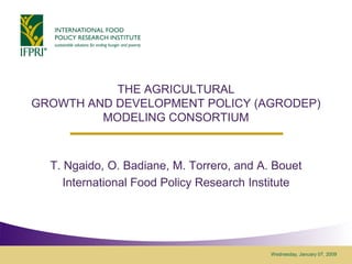 THE AGRICULTURAL
GROWTH AND DEVELOPMENT POLICY (AGRODEP)
         MODELING CONSORTIUM



  T. Ngaido, O. Badiane, M. Torrero, and A. Bouet
     International Food Policy Research Institute




                                           Wednesday, January 07, 2009
 