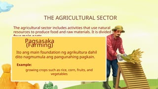 Comprehensive Overview of the Agricultural Sector in the Philippines ...