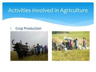 1. Crop Production
Activities involved in Agriculture
 