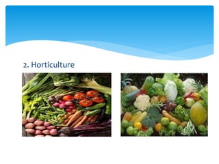 2. Horticulture
 