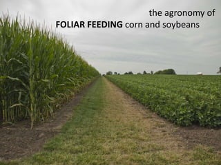 the agronomy of  FOLIAR FEEDING corn and soybeans 