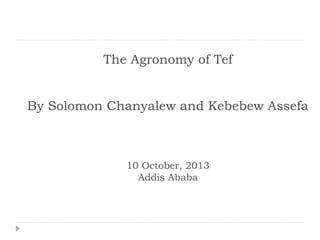 The Agronomy of Tef
By Solomon Chanyalew and Kebebew Assefa

10 October, 2013
Addis Ababa

 