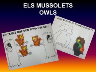 ELS MUSSOLETSOWLS