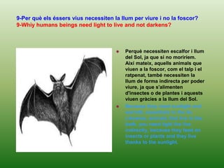 Because if you strike two stones, as hard as flint, and containing icon, such as pyrite, in kicking make a particle of iron gets very hot and glous again, then if the particle approaching a leaf dry, burn.7-Per què el foc crema?7-Why the fire burns?Perquè hi ha una gran quantitat d'oxigen i perquè hi ha una reacció entre una matèria i aquest oxigen, i aleshores s'allibera energia en forma de foc.