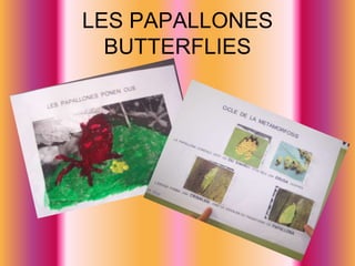 LES PAPALLONESBUTTERFLIES