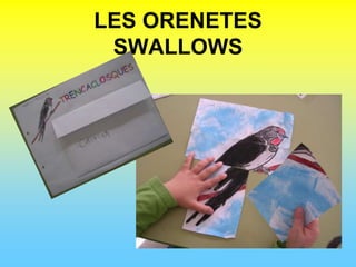 LES ORENETESSWALLOWS