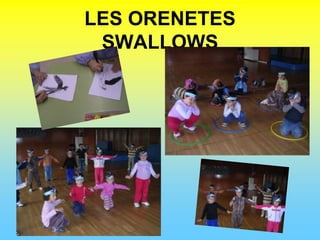 LES ORENETESSWALLOWS