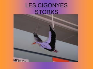 LES CIGONYESSTORKS
