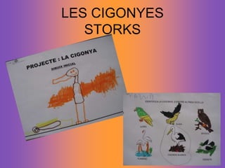 LES CIGONYESSTORKS