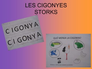 LES CIGONYESSTORKS