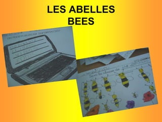 LES ABELLESBEES