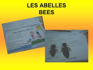 LES ABELLESBEES