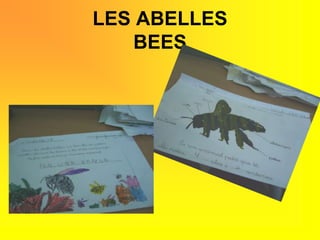 LES ABELLESBEES