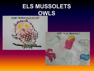 ELS MUSSOLETSOWLS