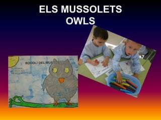 ELS MUSSOLETSOWLS