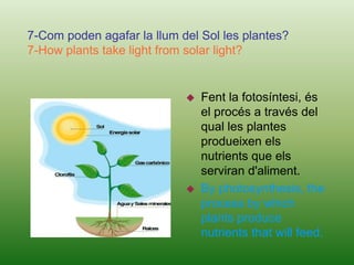 Because it is a mixture of gases and particles.5-Per què a cada estació l'aire canvia de temperatura?5-Why the air change its temperature in each season?Perquè la temperatura atmosfèrica és la que indica el grau d'escalfor que s'acumula en l'aire.