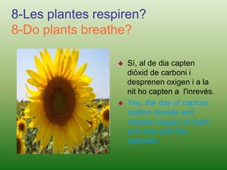Because the atmospheric temperature is indicating  the degree of heat that builds up in the air.6-L'aire pot ser a vegades dolent?6-The air can sometimes be bad?Depèn, perquè pot ser que estigui contaminat i afecti el nostre planeta, la Terra.