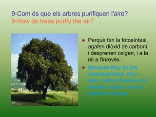 It depends, because it  may be polluted and affect our planet, Earth.7-Com poden agafar la llum del Sol les plantes?7-How plants take light from solar light?Fent la fotosíntesi, és el procés a través del qual les plantes produeixen els nutrients que els serviran d'aliment.