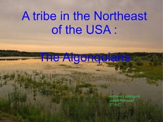 A tribe in the Northeast of the USA : The Algonquians Antoine Leplingard Julien Remaud 2 nd  A-C 