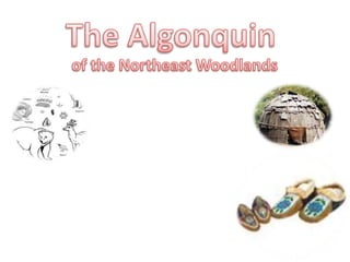 The Algonquin of the Northeast Woodlands 
