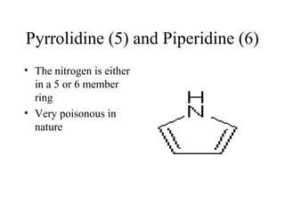 Pyrrolidine (5) and Piperidine (6)
• The nitrogen is either
in a 5 or 6 member
ring
• Very poisonous in
nature

 