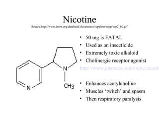 Nicotine
Source:http://www.intox.org/databank/documents/supplem/supp/sup2_60.gif

•
•
•
•

50 mg is FATAL
Used as an insecticide
Extremely toxic alkaloid
Cholinergic receptor agonist
http://www.answers.com/topic/nicotin
• Enhances acetylcholine
• Muscles ‘twitch’ and spasm
• Then respiratory paralysis

 