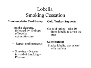 Lobelia
Smoking Cessation
Neuro Associative Conditioning:

- smoke cigarette,
followed by 10 drops
of lobelia
extract/tincture
– Repeat until nauseous
– Smoking = Nausea
instead of Smoking =
Pleasure

Cold Turkey Support:
Go cold turkey - take 10
drops lobelia to arrest the
urge
Substitution:
Smoke lobelia, works well
with mullein

 