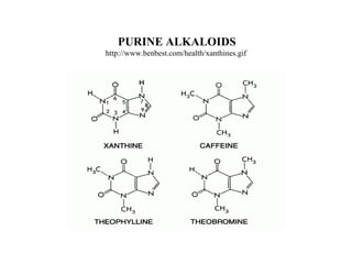 PURINE ALKALOIDS
http://www.benbest.com/health/xanthines.gif

 
