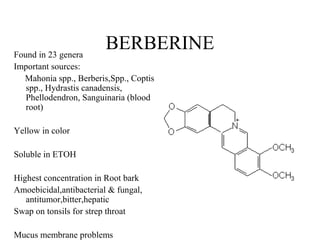 BERBERINE

Found in 23 genera
Important sources:
Mahonia spp., Berberis,Spp., Coptis
spp., Hydrastis canadensis,
Phellodendron, Sanguinaria (blood
root)
Yellow in color
Soluble in ETOH
Highest concentration in Root bark
Amoebicidal,antibacterial & fungal,
antitumor,bitter,hepatic
Swap on tonsils for strep throat
Mucus membrane problems

 