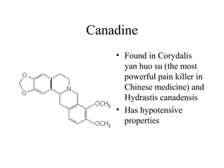 Canadine
• Found in Corydalis
yan huo su (the most
powerful pain killer in
Chinese medicine) and
Hydrastis canadensis
• Has hypotensive
properties

 
