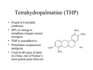 Tetrahydropalmatine (THP)
• Found in Corydalis
yanhusuo
• 40% as strong as
morphine;vinegar extract
strongest
• THP is nonaddictive
• Potentiates acupuncture
analgesia
• Used in all types of pain
in China; one of Nature’s
most potent pain relievers

 