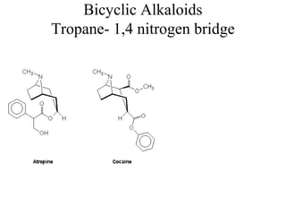 Bicyclic Alkaloids
Tropane- 1,4 nitrogen bridge

 