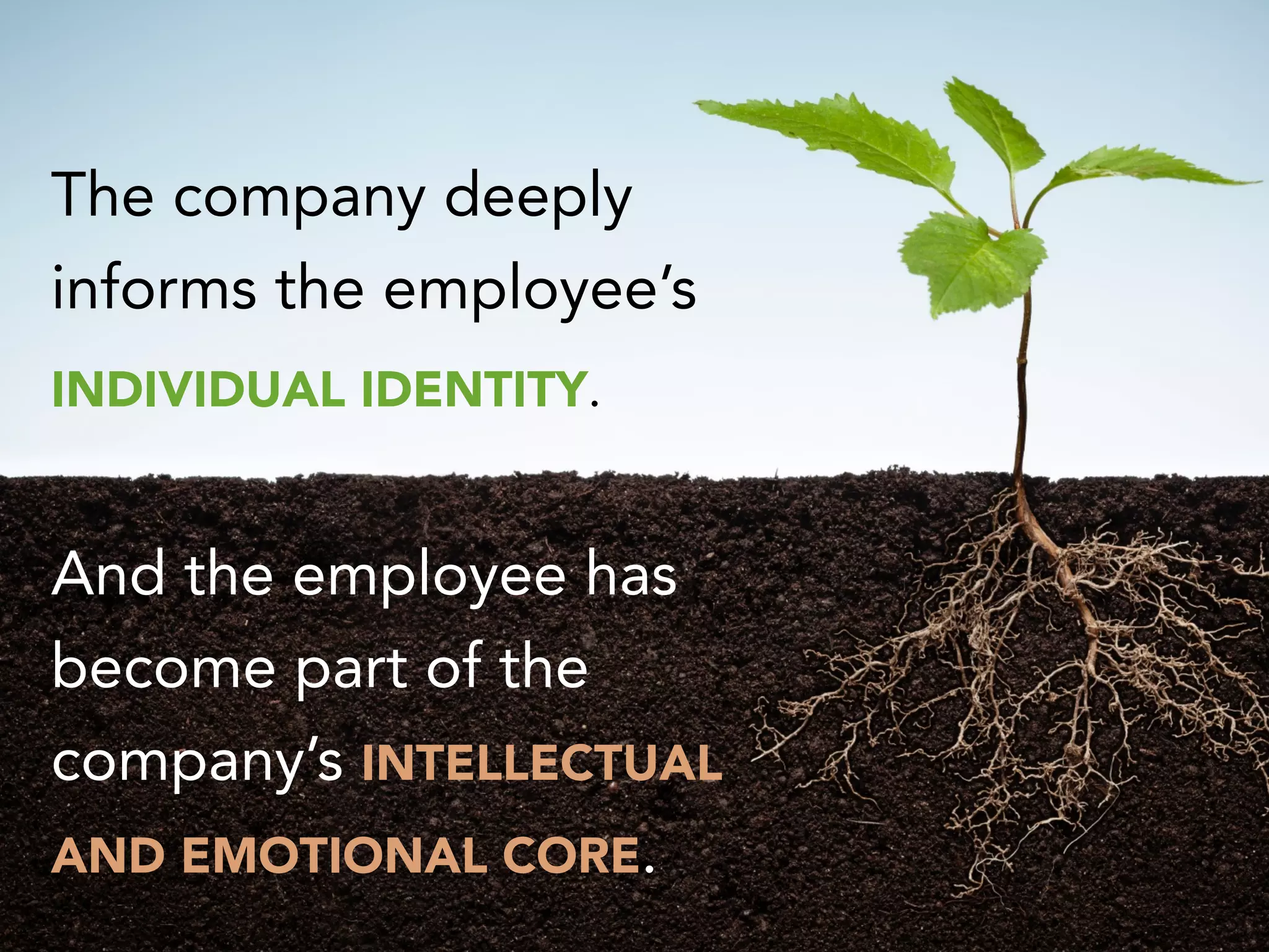 The company deeply
informs the employee’s
INDIVIDUAL IDENTITY.
And the employee has
become part of the
company’s INTELLECTUAL
AND EMOTIONAL CORE.
 