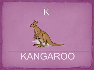 KANGAROO 