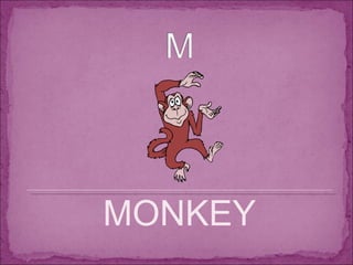 MONKEY 