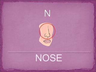 NOSE 