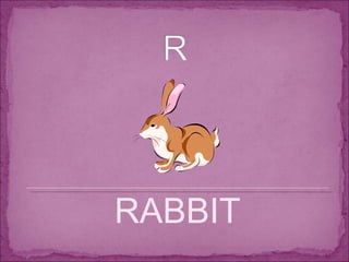 RABBIT 