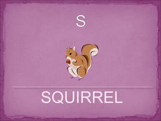 SQUIRREL 