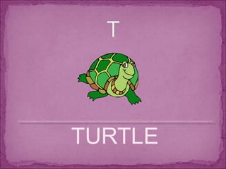 TURTLE 