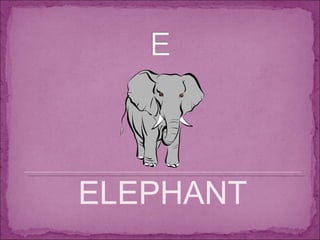 ELEPHANT 