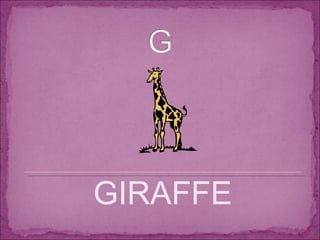 GIRAFFE 