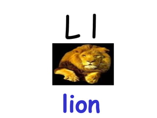 L l lion 