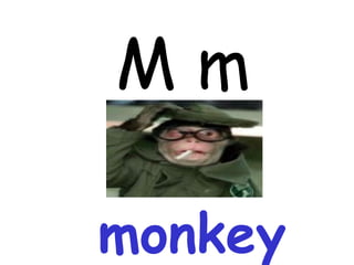 M m monkey 