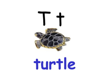 T t turtle 